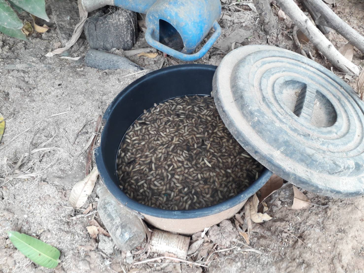 การจัดการขยะเปียกลดโลกร้อน