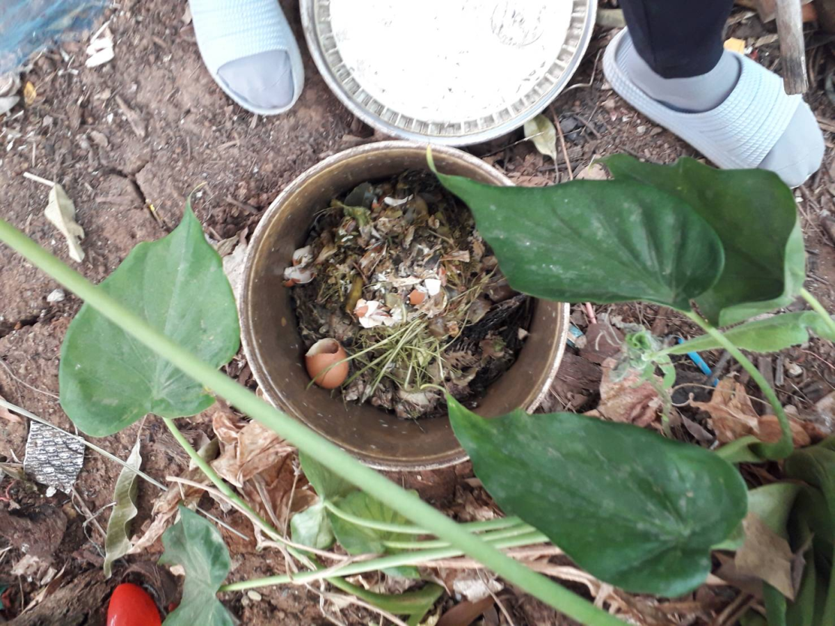 การจัดการขยะเปียกลดโลกร้อน