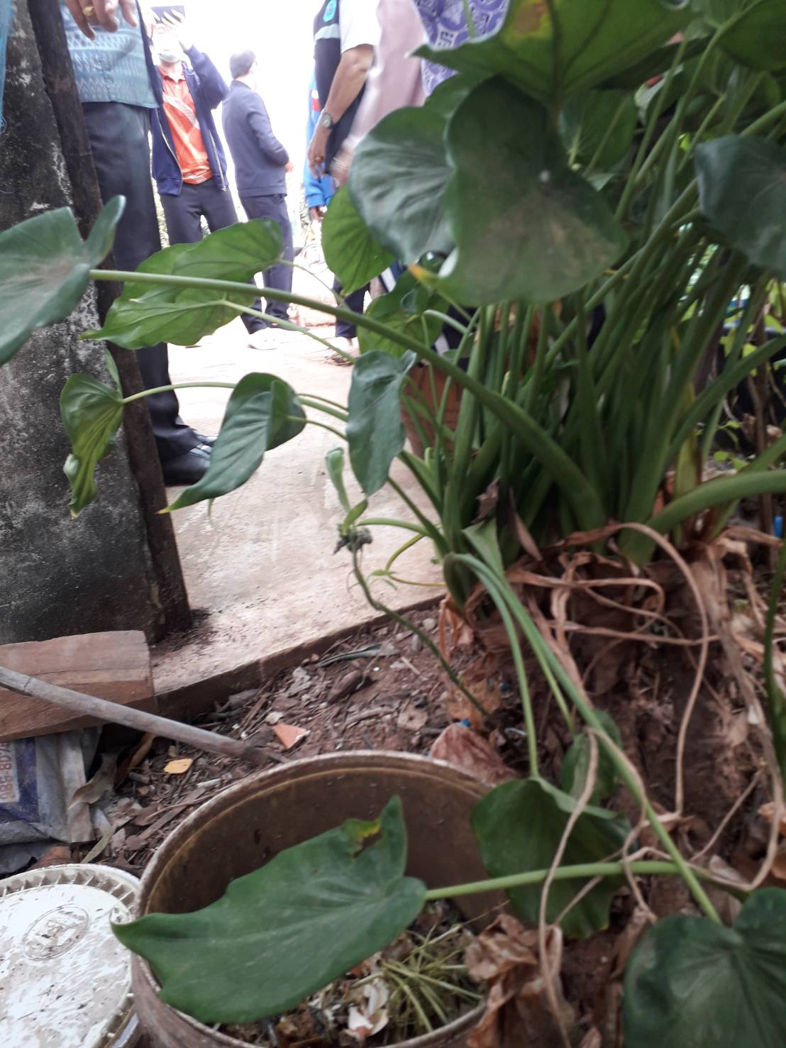 การจัดการขยะเปียกลดโลกร้อน