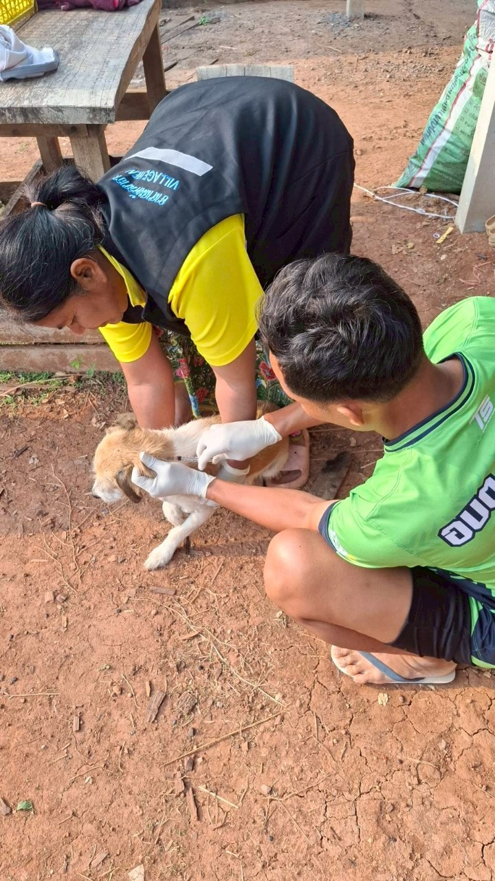 โครงการควบคุมโรคพิษสุนัขบ้า ตามโครงการสัตว์ปลอดโรค คนปลอดภัย จากโรคพิษสุนัขบ้า ตามพระปณิธานศาสตราจารย์ ดร.สมเด็จพระเจ้าน้องนางเธอ เจ้าฟ้าฯ กรมพระศรีสวางควัฒน วรขัตติราชนาวี ประจำปี 2568