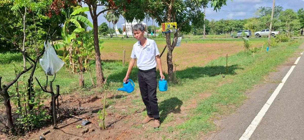 โครงการปลูกป่าเฉลิมพระเกียรติ