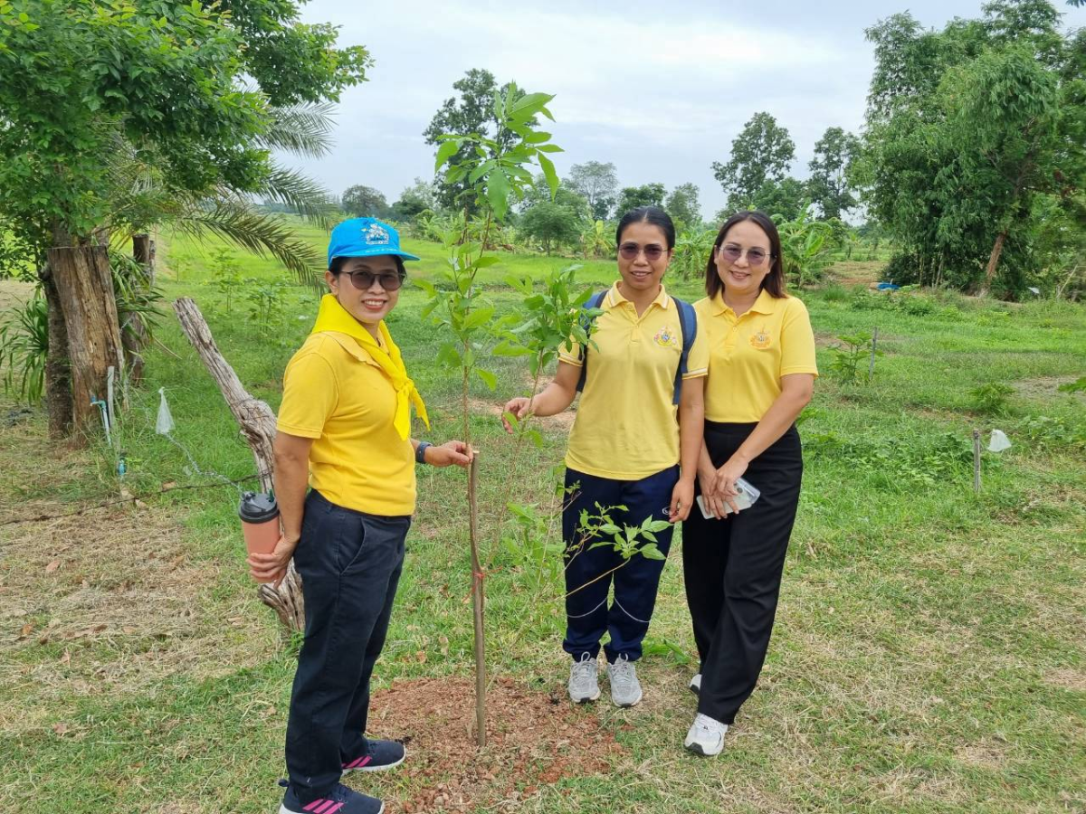 โครงการปรับปรุงภูมิทัศน์และพัฒนาสิ่งแวดล้อมตำบลเมืองนาท  เพื่อเทิดพระเกียรติพระบาทสมเด็จพระเจ้าอยู่หัว (ร.10)