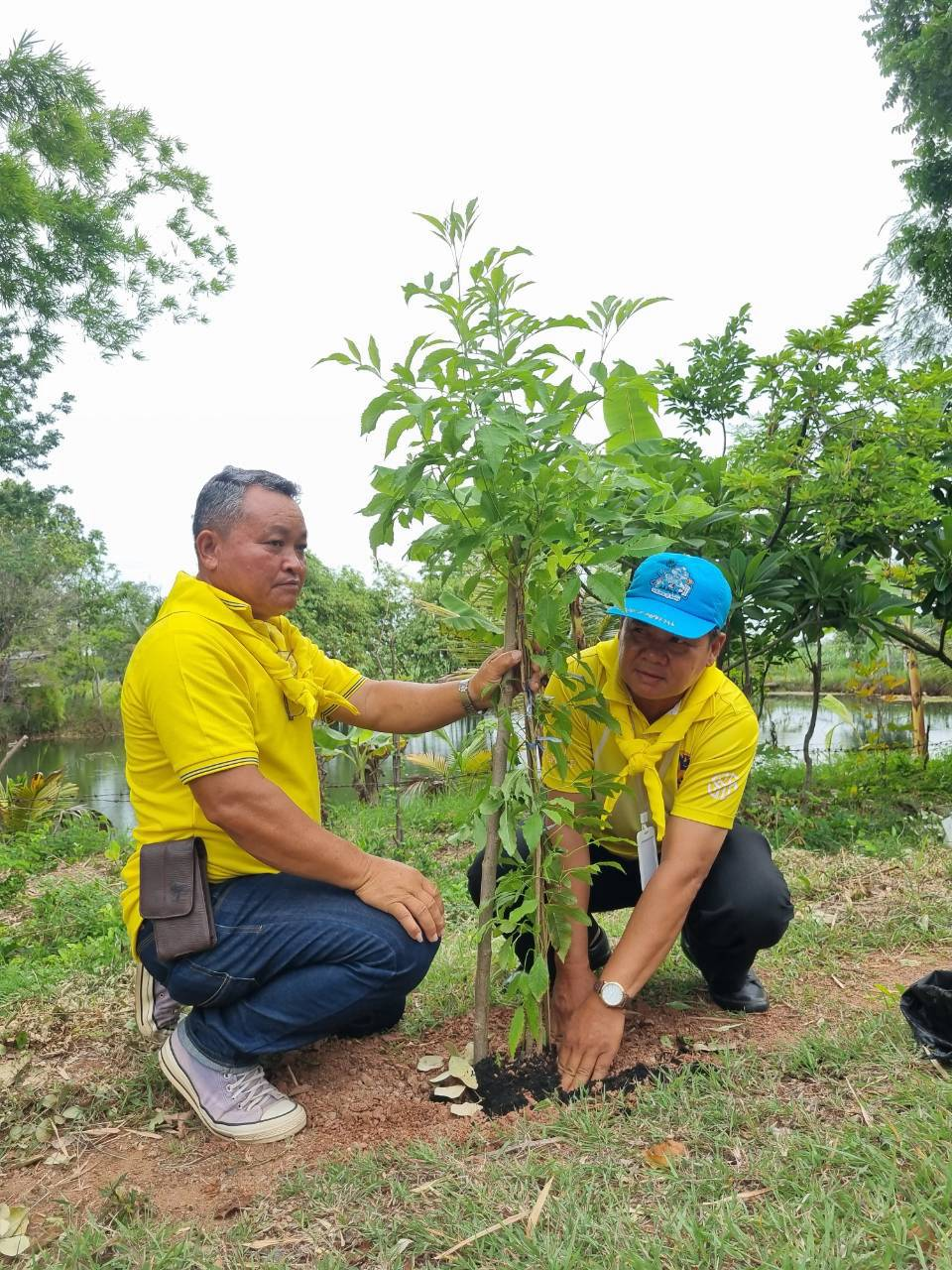 โครงการปรับปรุงภูมิทัศน์และพัฒนาสิ่งแวดล้อมตำบลเมืองนาท  เพื่อเทิดพระเกียรติพระบาทสมเด็จพระเจ้าอยู่หัว (ร.10)