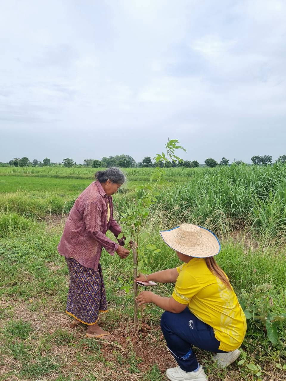 โครงการปรับปรุงภูมิทัศน์และพัฒนาสิ่งแวดล้อมตำบลเมืองนาท  เพื่อเทิดพระเกียรติพระบาทสมเด็จพระเจ้าอยู่หัว (ร.10)