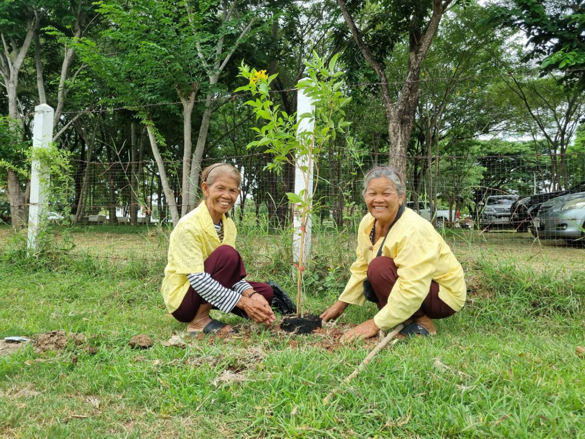 โครงการปรับปรุงภูมิทัศน์และพัฒนาสิ่งแวดล้อมตำบลเมืองนาท  เพื่อเทิดพระเกียรติพระบาทสมเด็จพระเจ้าอยู่หัว (ร.10)