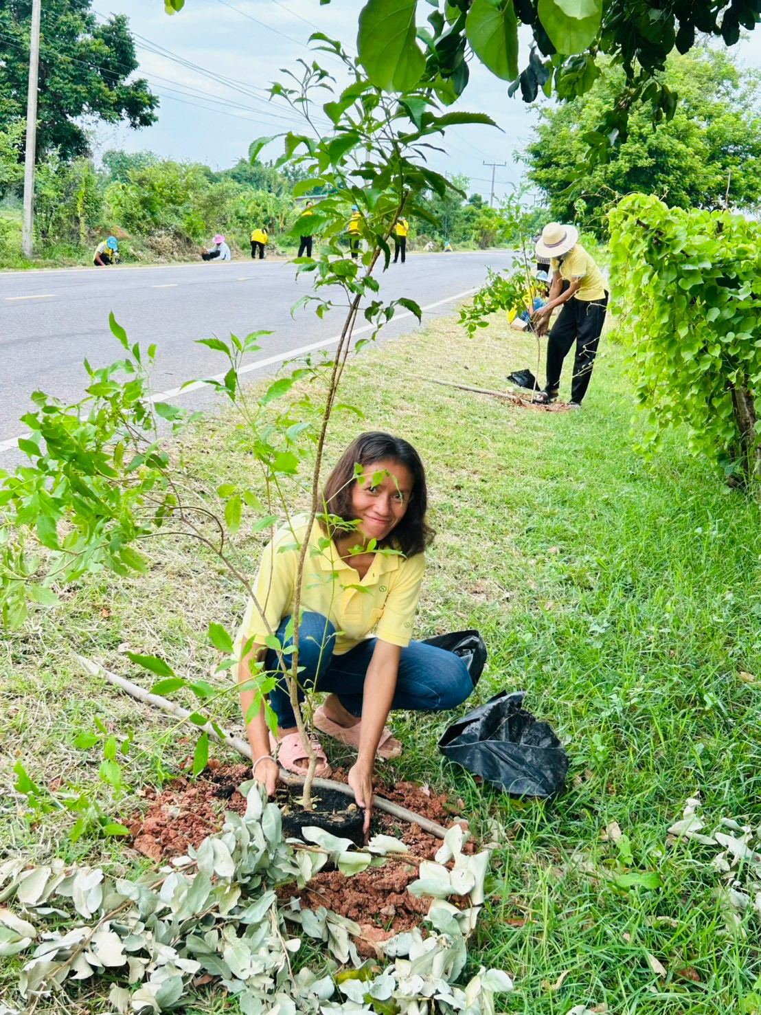 โครงการปรับปรุงภูมิทัศน์และพัฒนาสิ่งแวดล้อมตำบลเมืองนาท  เพื่อเทิดพระเกียรติพระบาทสมเด็จพระเจ้าอยู่หัว (ร.10)